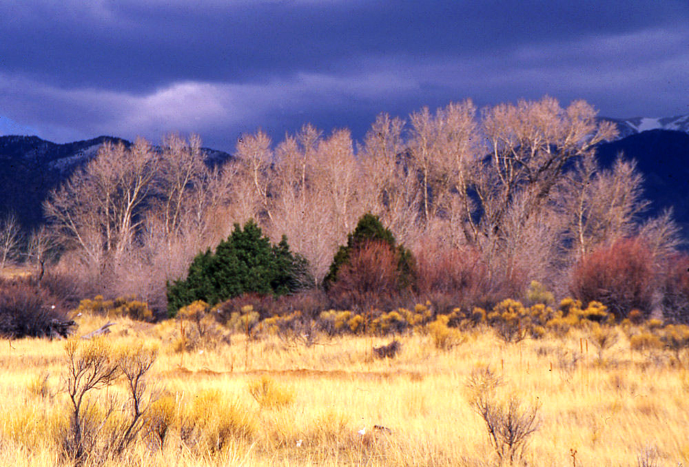 Great Sand Dunes National Park