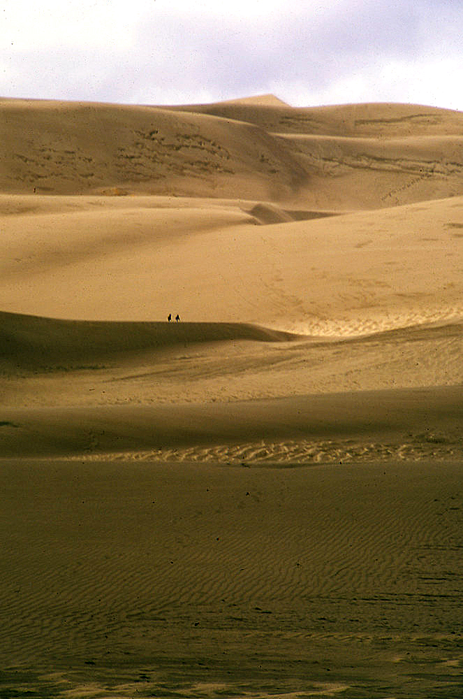 Great Sand Dunes National Park