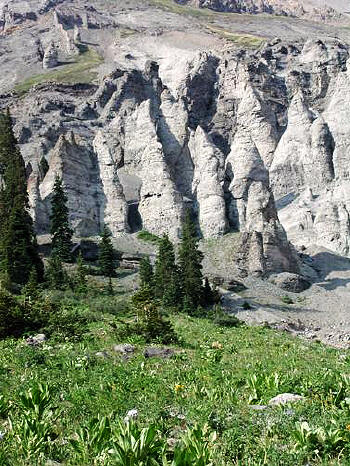 Wildflowers in Yankee Boy Basin