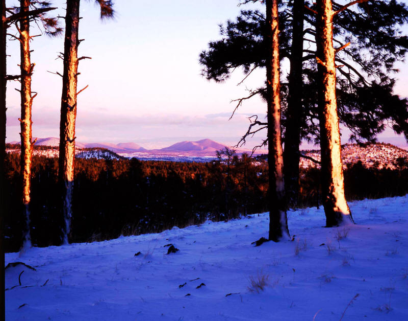 San Francisco Peaks Forsest Service Road 553
