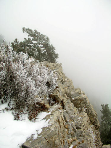Sandia Crest in Winter