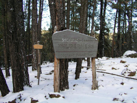 Winter Cabin Trail in Sycamore Canyon Wilderness Area