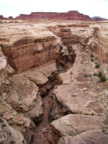 The White River at Hite, Utah