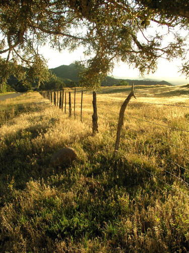 Owl Creek Pass Fence