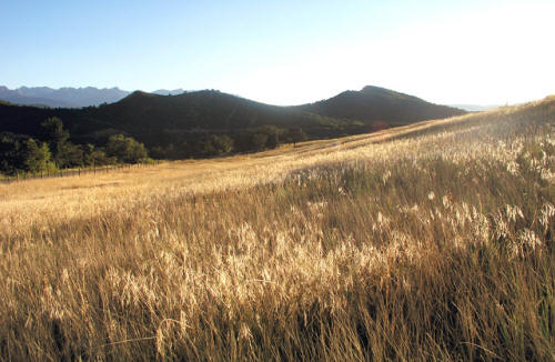 Owl Creek Pass Pasture