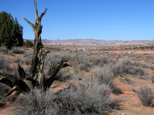 Clark Bench Grand Staircase-Escalante National Monument