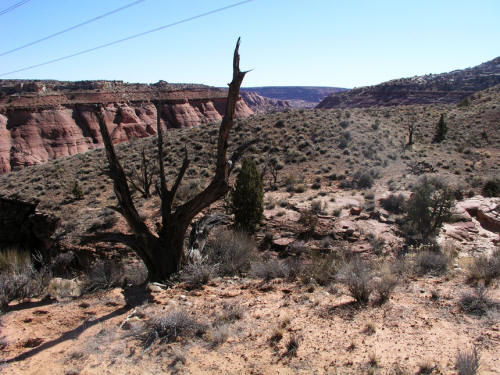 Clark Bench Grand Staircase-Escalante National Monument