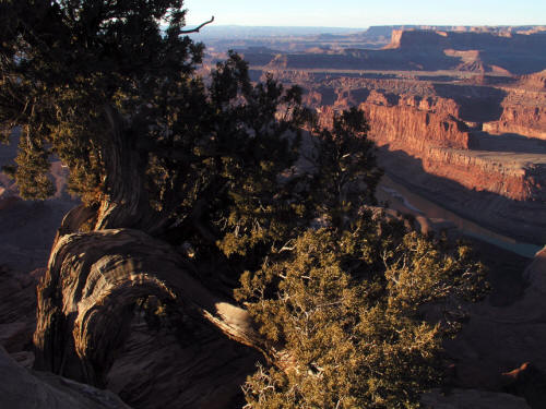 Dead Horse Point State Park