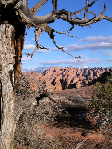 Poison Spider Mesa