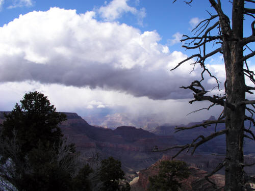 Grand View Point Grand Canyon