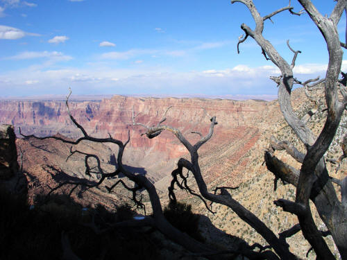 Lipan Point Grand Canyon