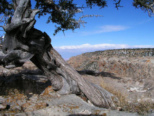 Lipan Point Grand Canyon