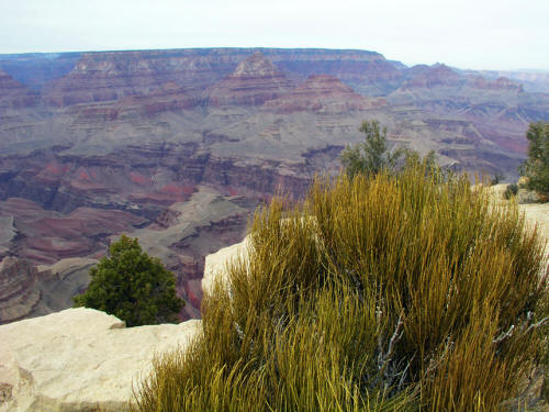 Moran Point Grand Canyon