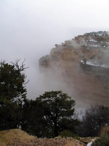 Powell Point Grand Canyon