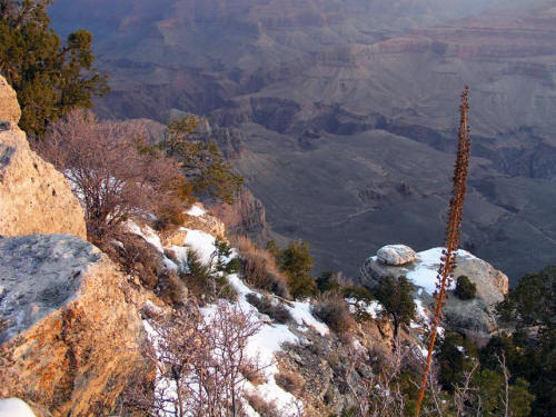 Yaki Point Grand Canyon