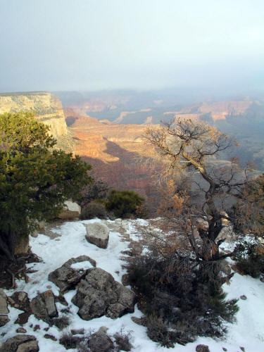 Yaki Point Grand Canyon