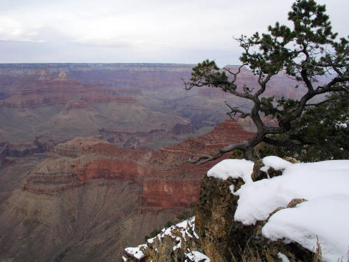 Yavapai Point Grand Canyon