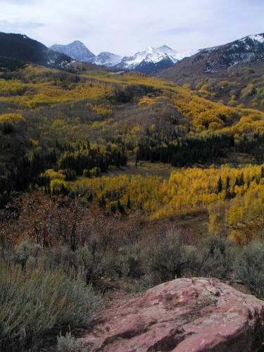 Capitol Creek Fall Color