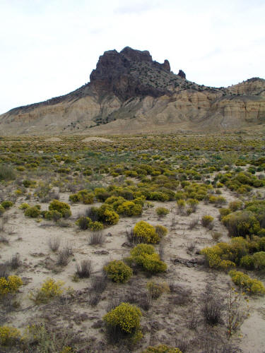 Cerro Guadelupe