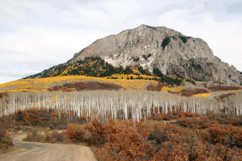 Kebler Pass Fall Color