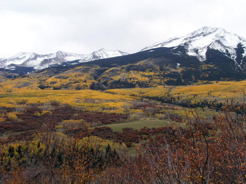 Kebler Pass Fall Color