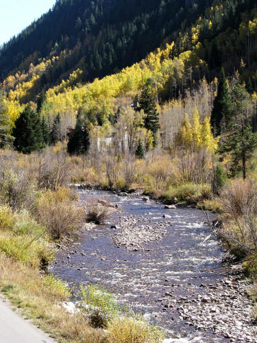 East Vail Fall Color