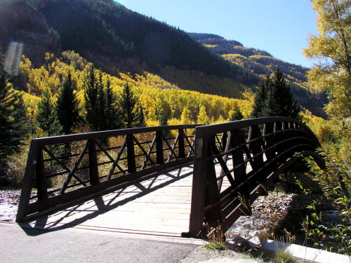 East Vail Fall Color