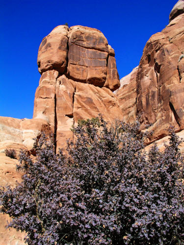 Hole in the Rock Rest Stop