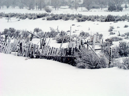 Winter Snow along Highway 89 and the Seiver River