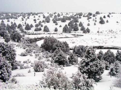 Winter Snow along Highway 89 and the Seiver River