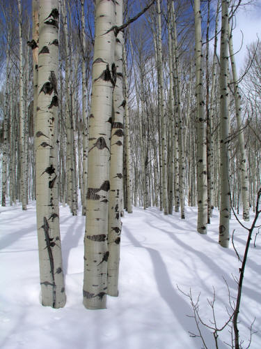 McClure Pass