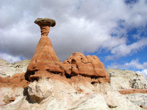 Sansstone Toadstools