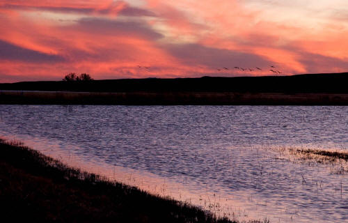 Bosque del Apache National Wildlife Refuge