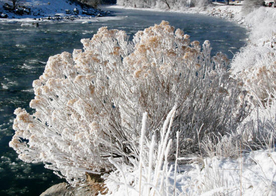 Colorado River