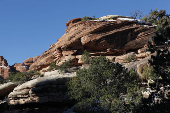 Chesser Park Trail