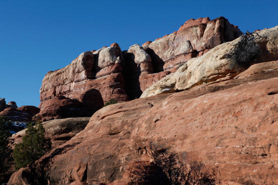 Elephant Hill Trail