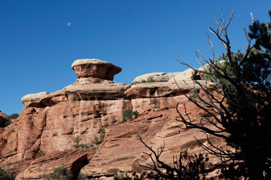 Chesler Park Trail