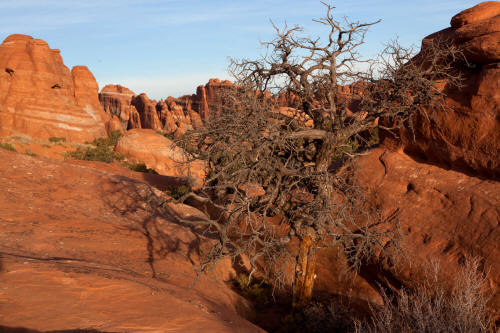 Sandstone Finns in the Campground area