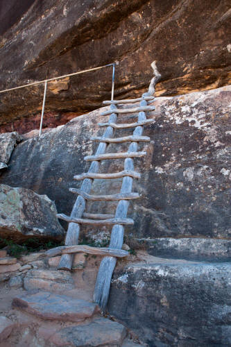 Wooden Ladder