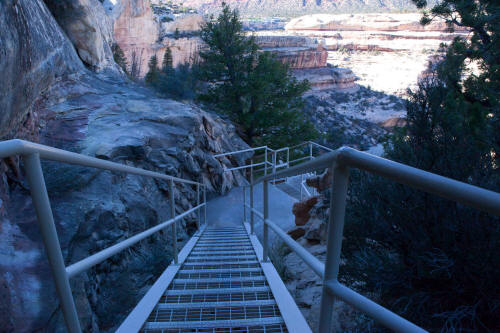 Steel Ladder on Sipipau Bridge Trail