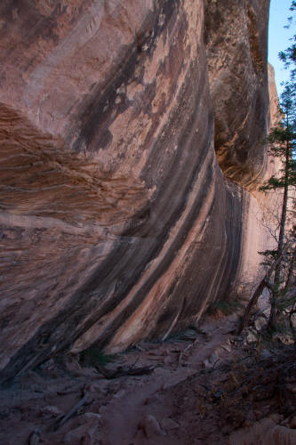 Shear Sandstone Cliff