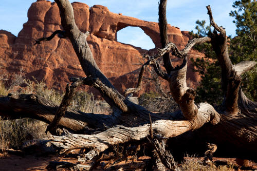 Skyline Arch