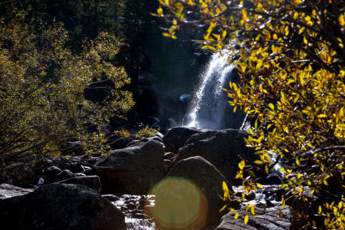 Alberta Falls