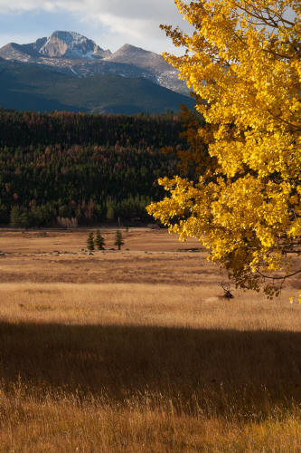 Fall Color along Bear Lake Road