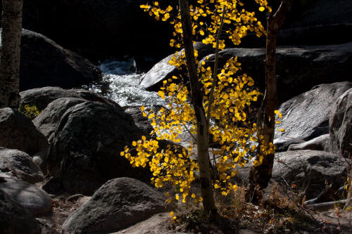 Fall Color along Bear Lake Road