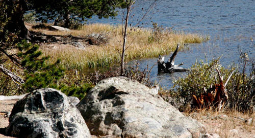 Sprague Lake