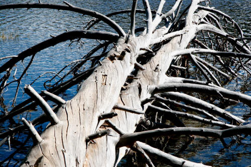 Sprague Lake