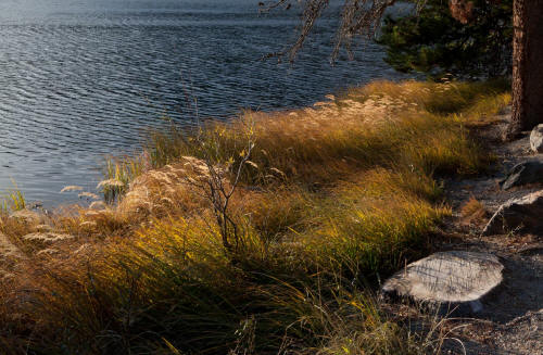 Spague Lake Sunrise