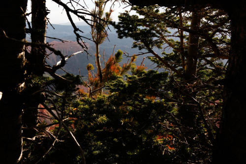 Cedar Breaks