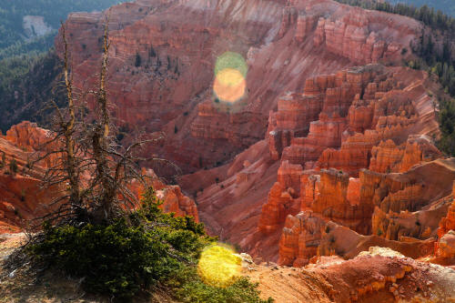 Cedar Breaks